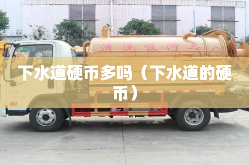 下水道硬币多吗（下水道的硬币）