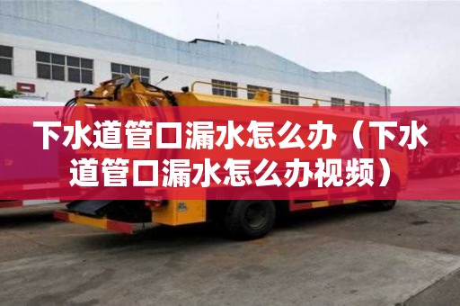 下水道管口漏水怎么办（下水道管口漏水怎么办视频）