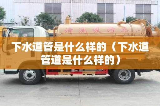 下水道管是什么样的（下水道管道是什么样的）