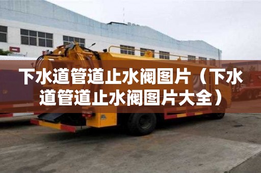 下水道管道止水阀图片（下水道管道止水阀图片大全）
