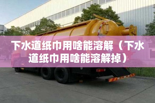 下水道纸巾用啥能溶解（下水道纸巾用啥能溶解掉）