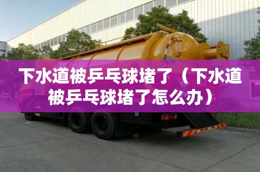 下水道被乒乓球堵了（下水道被乒乓球堵了怎么办）