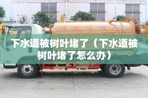 下水道被树叶堵了（下水道被树叶堵了怎么办）