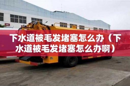 下水道被毛发堵塞怎么办（下水道被毛发堵塞怎么办啊）