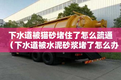 下水道被猫砂堵住了怎么疏通（下水道被水泥砂浆堵了怎么办）