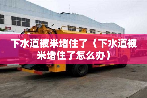 下水道被米堵住了（下水道被米堵住了怎么办）