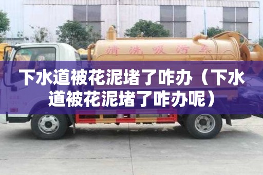 下水道被花泥堵了咋办（下水道被花泥堵了咋办呢）