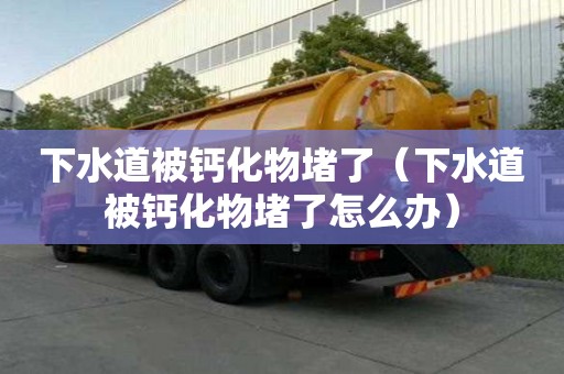 下水道被钙化物堵了（下水道被钙化物堵了怎么办）