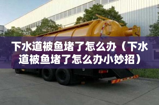 下水道被鱼堵了怎么办(下水道被鱼堵了怎么办小妙招) 下水道被鱼堵了怎么办(下水道被鱼堵了怎么办小妙招)
