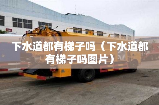 下水道都有梯子吗（下水道都有梯子吗图片）