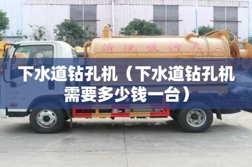 下水道钻孔机（下水道钻孔机需要多少钱一台）