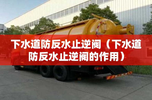 下水道防反水止逆阀（下水道防反水止逆阀的作用）