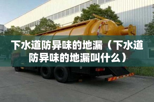 下水道防异味的地漏（下水道防异味的地漏叫什么）