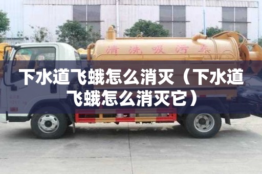 下水道飞蛾怎么消灭（下水道飞蛾怎么消灭它）
