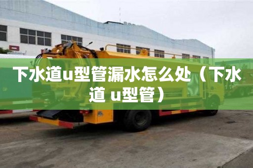 下水道u型管漏水怎么处(下水道 u型管) 下水道u型管漏水怎么处(下水道 u型管)