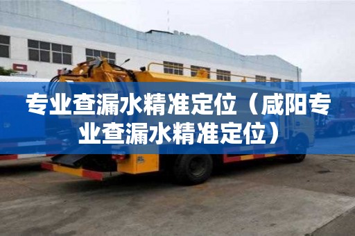 专业查漏水精准定位（咸阳专业查漏水精准定位）