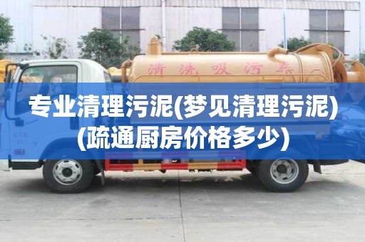 专业清理污泥(梦见清理污泥)(疏通厨房价格多少) 专业清理污泥(梦见清理污泥)(疏通厨房价格多少)