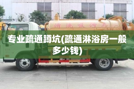 专业疏通蹲坑(疏通淋浴房一般多少钱)