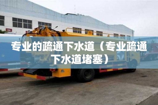 专业的疏通下水道（专业疏通下水道堵塞）