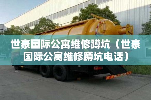 世豪国际公寓维修蹲坑（世豪国际公寓维修蹲坑电话）
