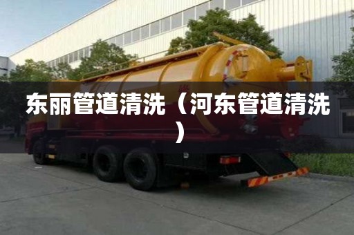 东丽管道清洗（河东管道清洗）