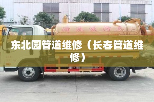 东北园管道维修（长春管道维修）