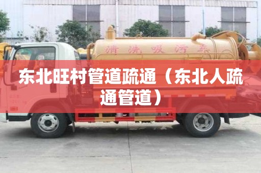 东北旺村管道疏通（东北人疏通管道）
