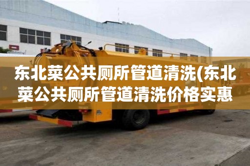 东北菜公共厕所管道清洗(东北菜公共厕所管道清洗价格实惠)
