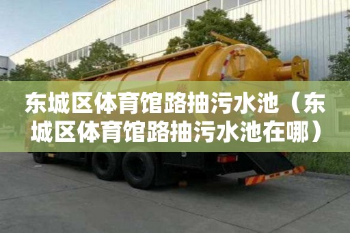 东城区体育馆路抽污水池（东城区体育馆路抽污水池在哪）