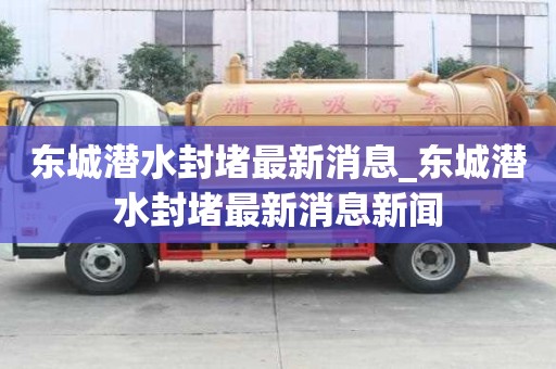 东城潜水封堵最新消息_东城潜水封堵最新消息新闻