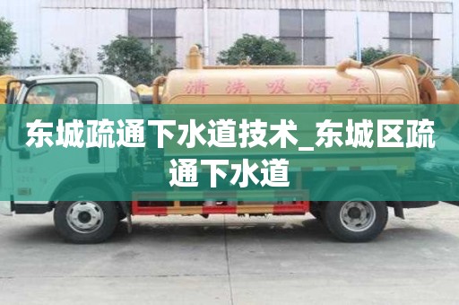 东城疏通下水道技术_东城区疏通下水道