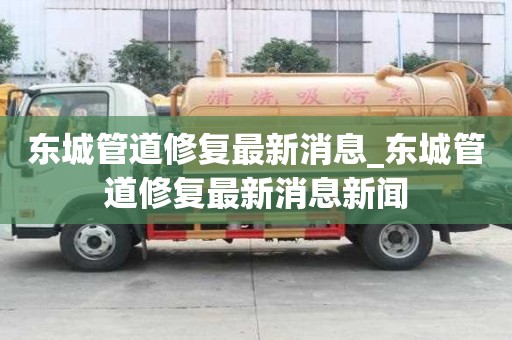 东城管道修复最新消息_东城管道修复最新消息新闻