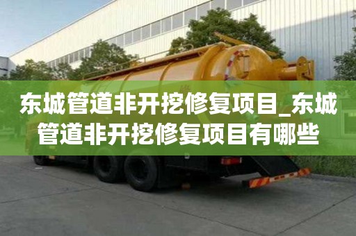 东城管道非开挖修复项目_东城管道非开挖修复项目有哪些