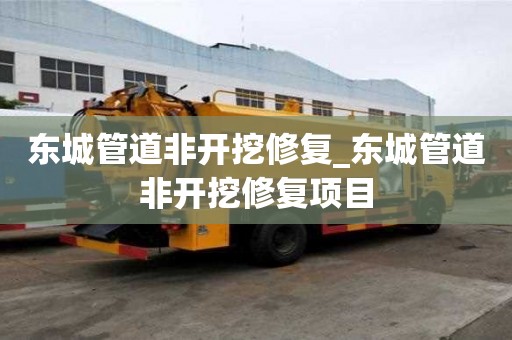 东城管道非开挖修复_东城管道非开挖修复项目