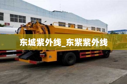 东城紫外线_东紫紫外线