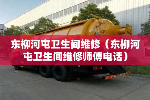 东柳河屯卫生间维修（东柳河屯卫生间维修师傅电话）