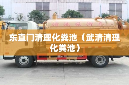 东直门清理化粪池（武清清理化粪池）