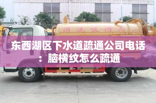 东西湖区下水道疏通公司电话：脑横纹怎么疏通