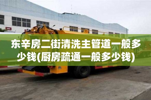 东辛房二街清洗主管道一般多少钱(厨房疏通一般多少钱)