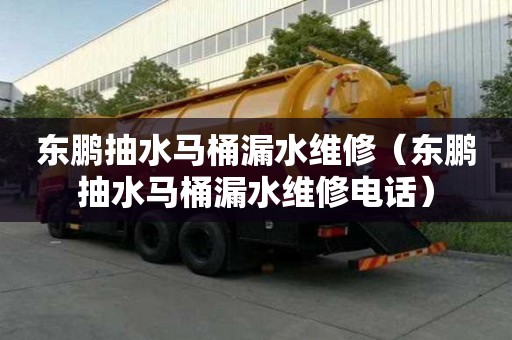 东鹏抽水马桶漏水维修(东鹏抽水马桶漏水维修电话) 东鹏抽水马桶漏水维修(东鹏抽水马桶漏水维修电话)