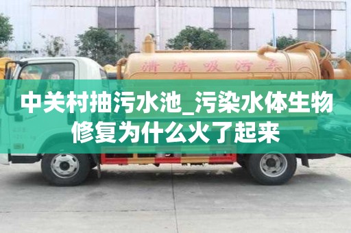 中关村抽污水池_污染水体生物修复为什么火了起来