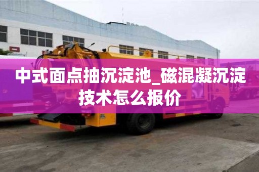 中式面点抽沉淀池_磁混凝沉淀技术怎么报价