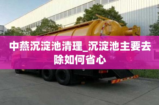 中燕沉淀池清理_沉淀池主要去除如何省心