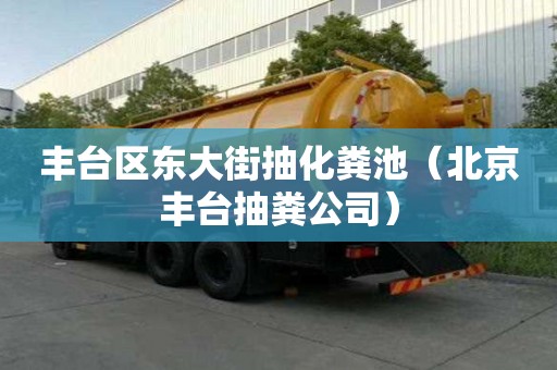 丰台区东大街抽化粪池（北京丰台抽粪公司）