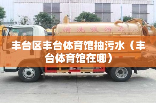 丰台区丰台体育馆抽污水（丰台体育馆在哪）