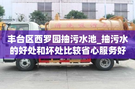 丰台区西罗园抽污水池_抽污水的好处和坏处比较省心服务好