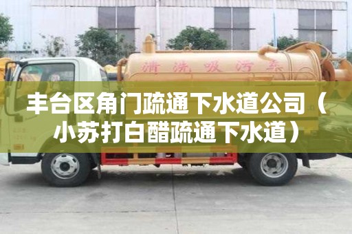 丰台区角门疏通下水道公司（小苏打白醋疏通下水道）