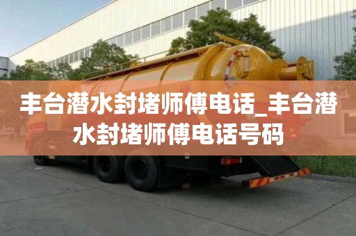 丰台潜水封堵师傅电话_丰台潜水封堵师傅电话号码