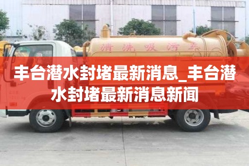 丰台潜水封堵最新消息_丰台潜水封堵最新消息新闻