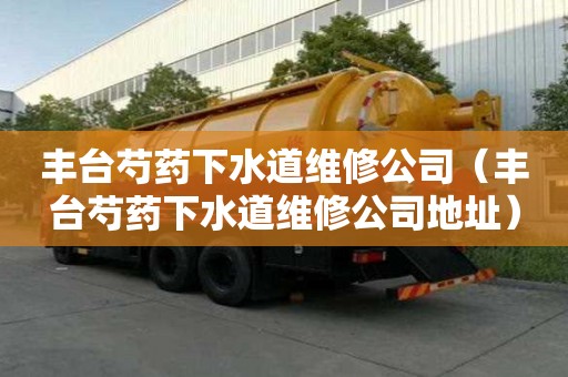 丰台芍药下水道维修公司（丰台芍药下水道维修公司地址）